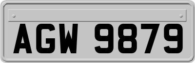 AGW9879