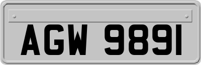 AGW9891