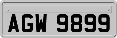 AGW9899