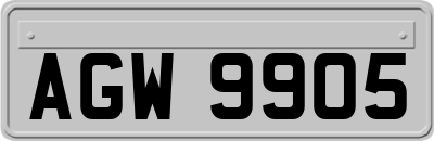 AGW9905