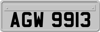 AGW9913
