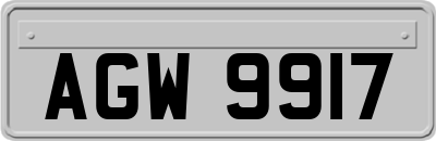 AGW9917