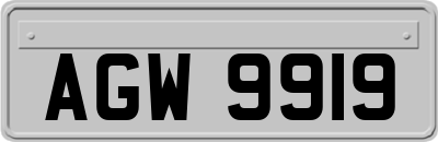 AGW9919