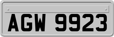AGW9923