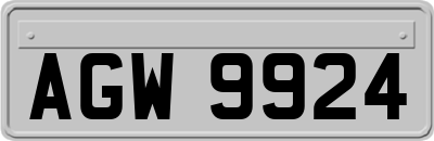 AGW9924