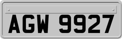 AGW9927