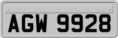 AGW9928