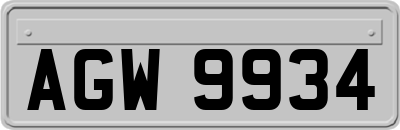 AGW9934