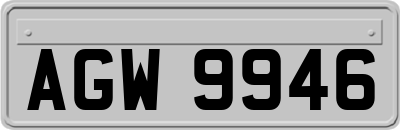 AGW9946
