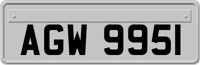AGW9951