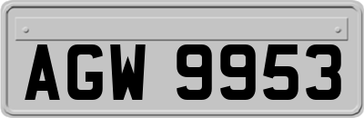 AGW9953