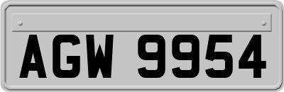 AGW9954