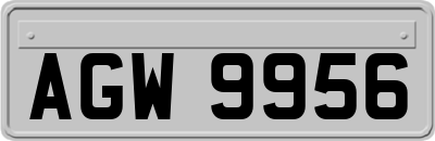 AGW9956