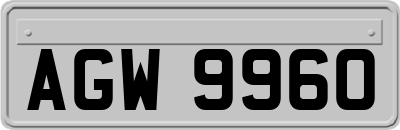 AGW9960