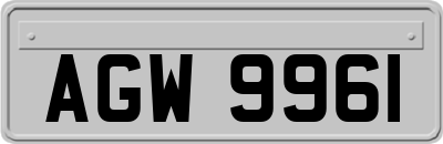 AGW9961