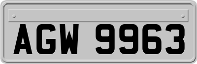 AGW9963