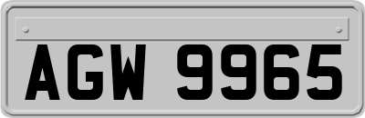 AGW9965