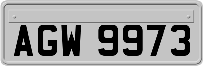 AGW9973