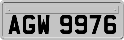 AGW9976