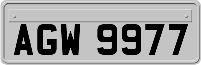 AGW9977