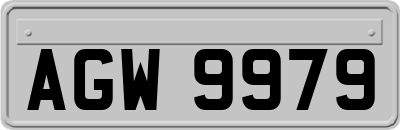 AGW9979