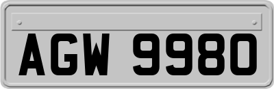 AGW9980