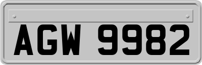AGW9982