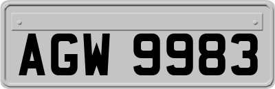AGW9983
