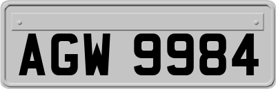 AGW9984