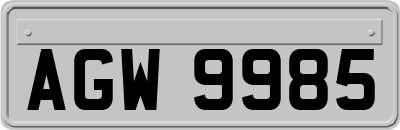 AGW9985