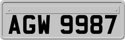 AGW9987