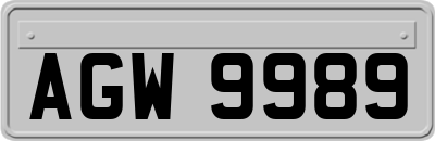 AGW9989