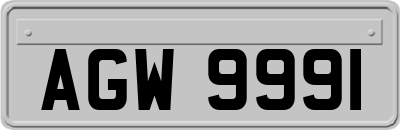 AGW9991