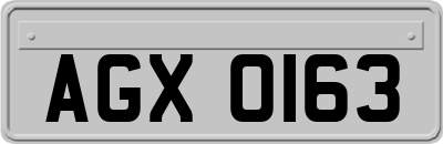 AGX0163