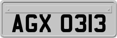 AGX0313