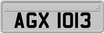 AGX1013