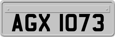 AGX1073