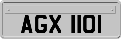 AGX1101