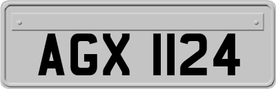 AGX1124
