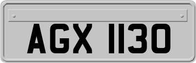 AGX1130