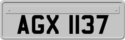AGX1137