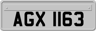 AGX1163