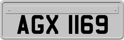 AGX1169