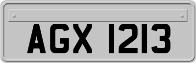 AGX1213