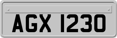 AGX1230