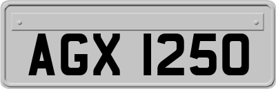 AGX1250