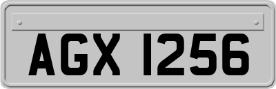 AGX1256