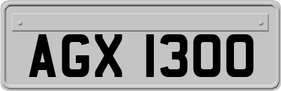 AGX1300