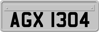 AGX1304
