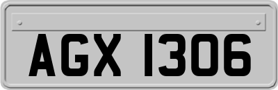 AGX1306